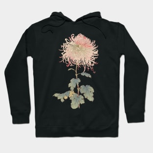 Pink Needle Chrysanthemum - Hasegawa - Traditional Japanese style - Botanical Illustration Hoodie